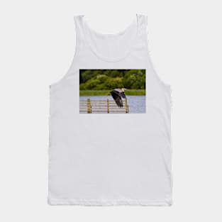 Grey Heron in flight Tank Top